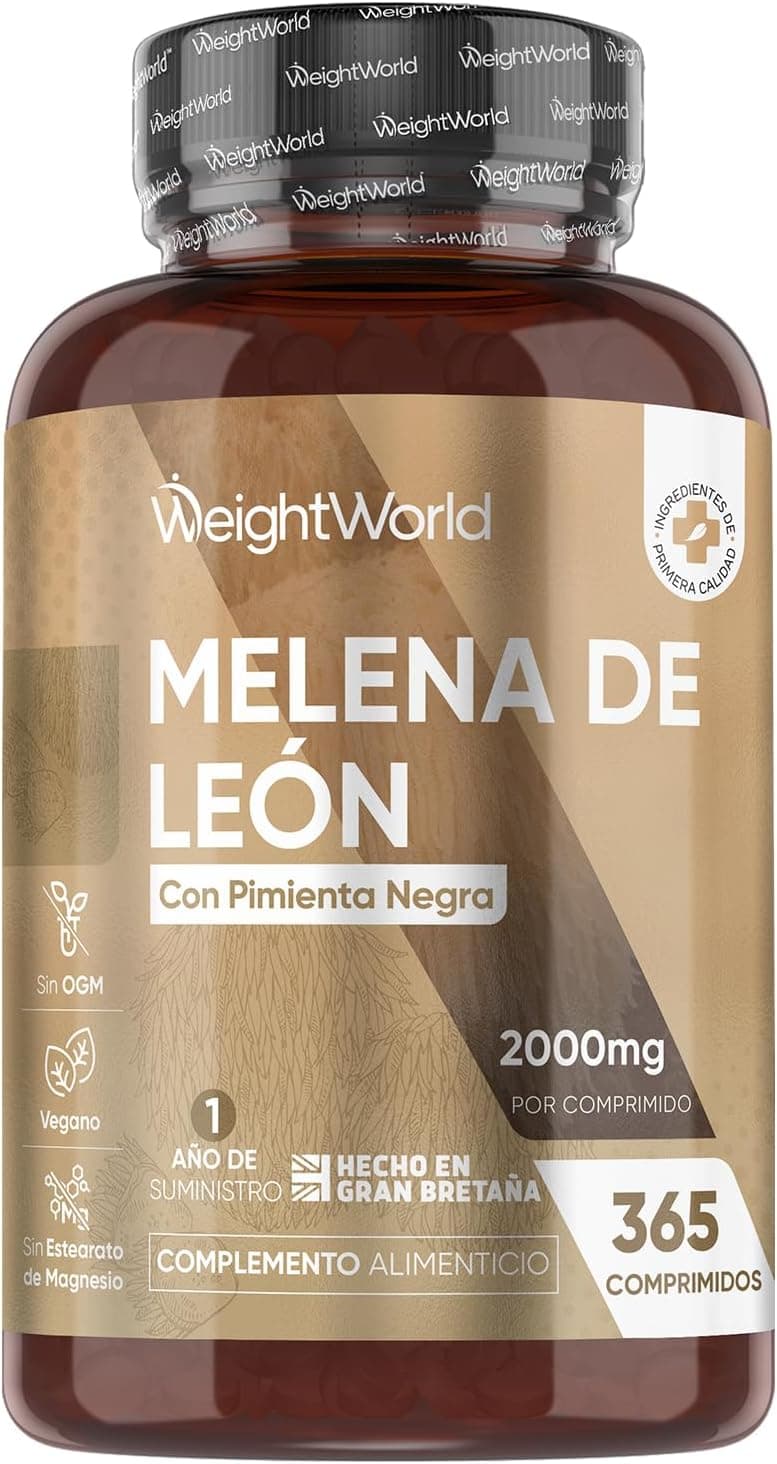 Melena de León: El hongo biohacker para la neurogénesis y claridad mental
